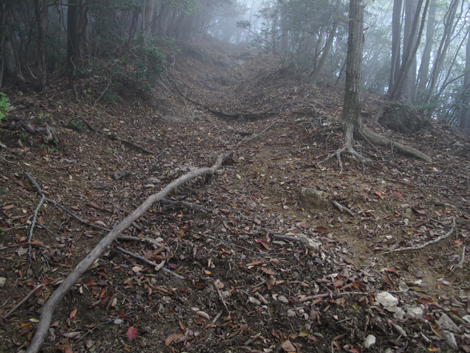 20151021hike (194)